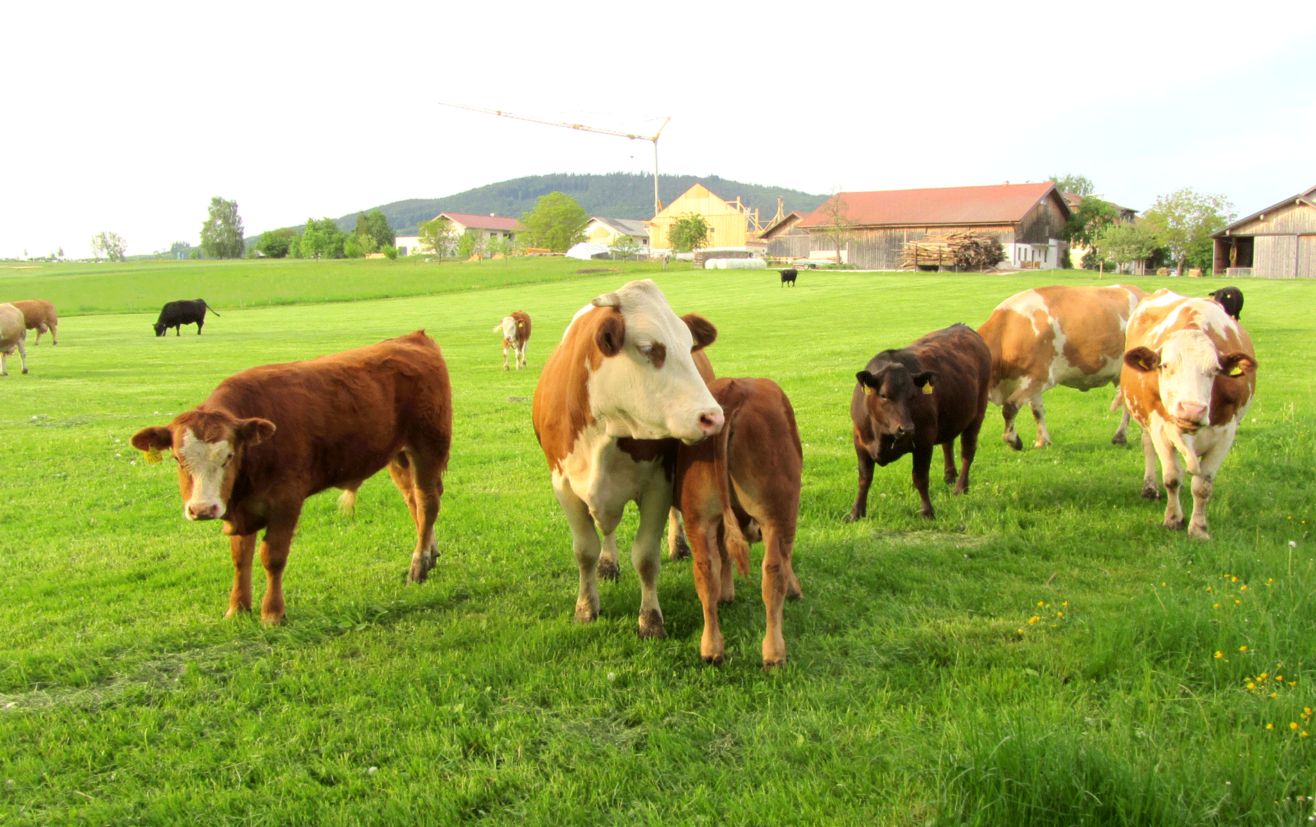 Kontakt und Anfahrt