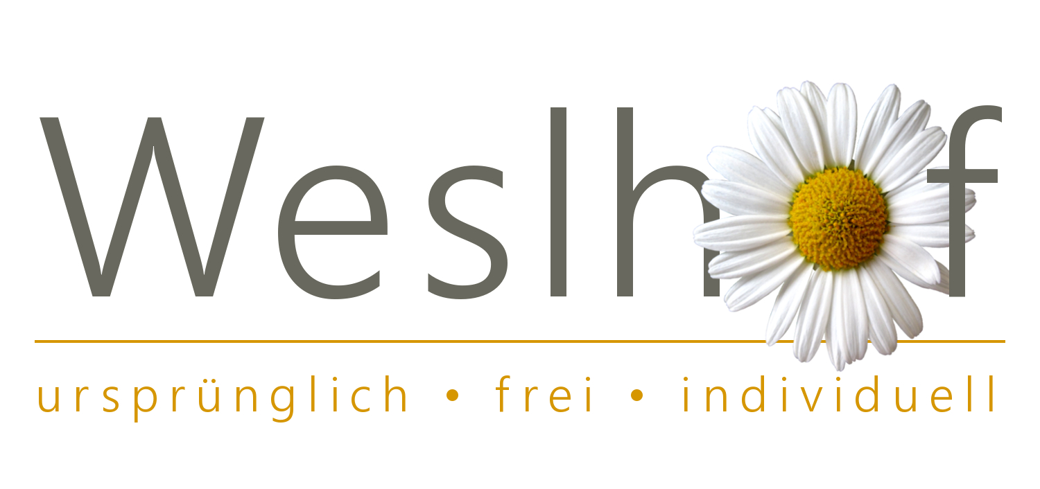 Kontakt und Anfahrt